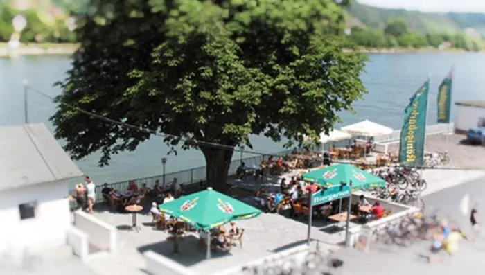 Zur Kripp קובלנץ